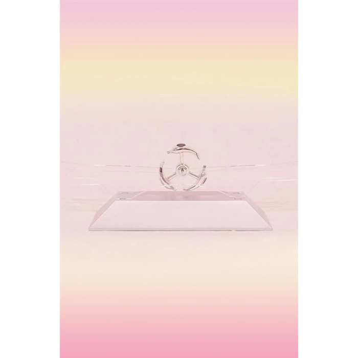 BUFFER® Dekoratif Masa Üstü Obje Manyetik Kinetik Orbital Dönen Yunuslar