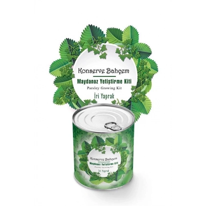 BUFFER® Konserve Bahçem Evde Konservede İri Maydanoz Yetiştirme Kiti