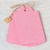 Loren 10lu Pembe Etiket ve Klipsli Etiket İpi
