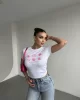 Strawberry Basic Crop