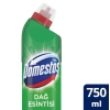 Domestos Çamaşır Suyu Dağ Esintisi 750 ML