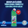 Domestos Çamaşır Suyu Dağ Esintisi 750 ML