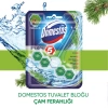 Domestos Wc Blok Çam Ferahlığı 55 gr