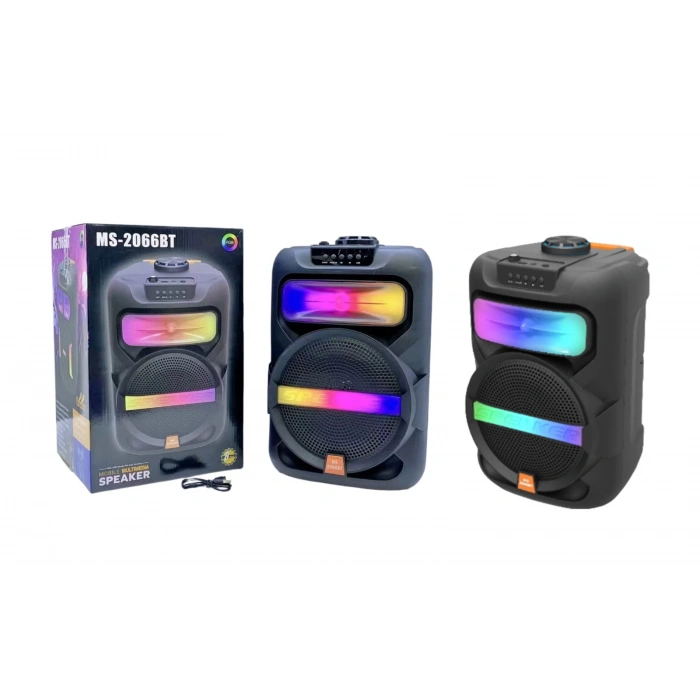 Platoon PL-4361 BT USB SD AUX 8 İNÇ Mikrofonlu Anfi Yüksek SES Taşınabilir RGB Işıklı Hoparlör