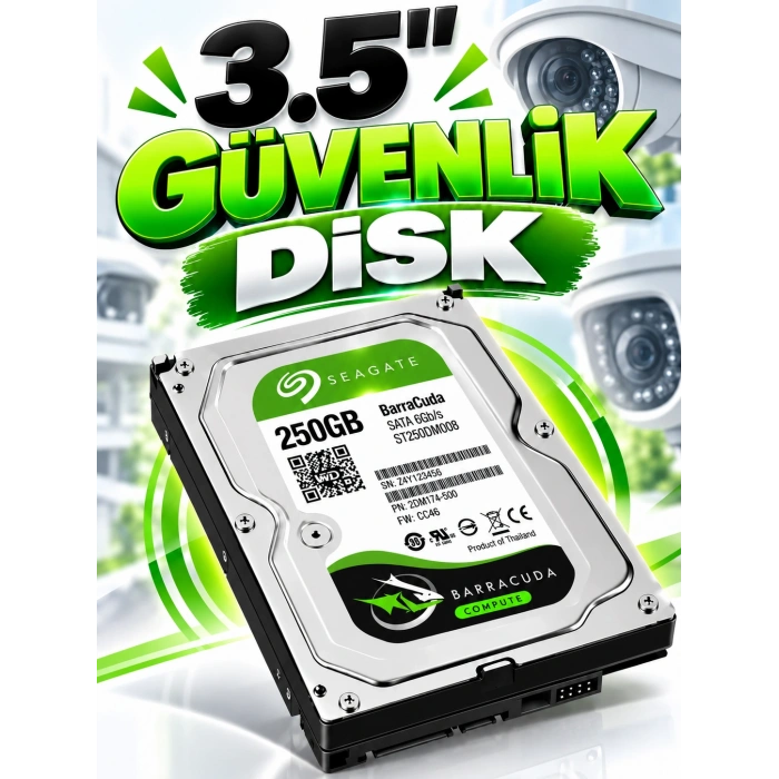 Seagate 250GB 8MB Sata 3Gb/s Harddisk Güvenlik Disk