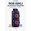 Platoon PL-4665 RGB Işıklı Bluetooth Speaker | USB/SD Girişli | 3x2 İnç