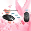 Platoon PL-390 Kablosuz Wireless Klavye Mouse Set