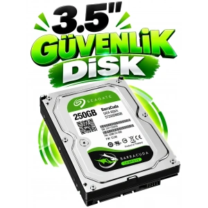 Seagate 250GB 8MB Sata 3Gb/s Harddisk Güvenlik Disk