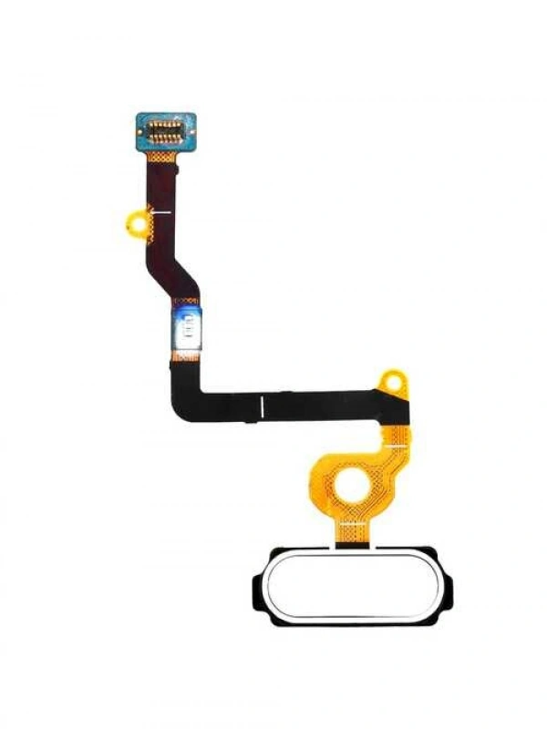 Samsung Uyumlu Galaxy C5 C5000 Home Tuş Bordu Filmi Flex Beyaz