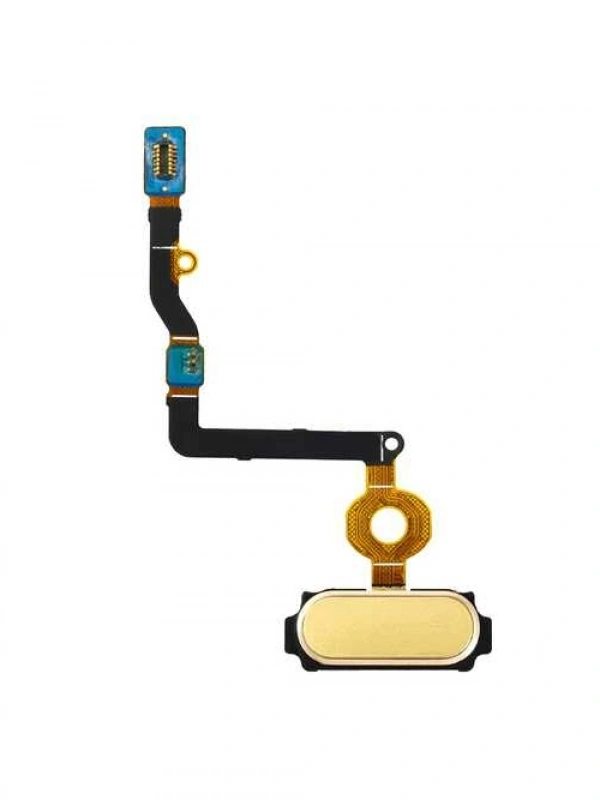 Samsung Uyumlu Galaxy C5 C5000 Home Tuş Bordu Filmi Flex Gold