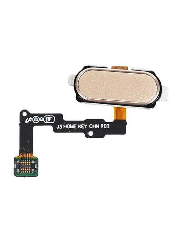 Samsung Uyumlu Galaxy J7 Duo J720 Home Tuş Bordu Filmi Gold