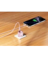 Realpower 30W GaN USB-C PD Hızlı Şarj Adaptörü Şarj Aleti ve USB-C to Lightning Hızlı Şarj Kablo Seti Pembe TCS30WPI