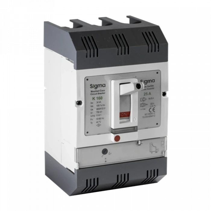 3x125A 3 Kutuplu Termik-Manyetik Açtırma Üniteli , Ayarlı Tip AG Devre Kesici