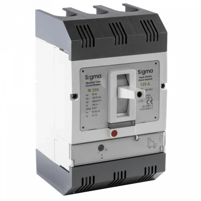 3x800A 3 Kutuplu Termik-Manyetik Açtırma Üniteli , Ayarlı Tip AG Devre Kesici