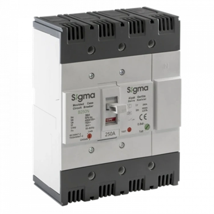 4x125A 4 Kutuplu Termik-Manyetik Açtırma Üniteli Ayarlı Tip AG Devre Kesici