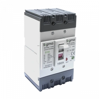 3x160A 3 Kutuplu Termik-Manyetik Açtırma Üniteli , Ayarlı Tip AG Devre Kesici