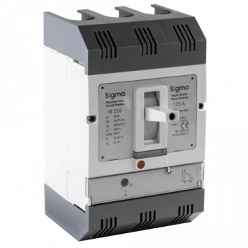 3x800A 3 Kutuplu Termik-Manyetik Açtırma Üniteli , Ayarlı Tip AG Devre Kesici