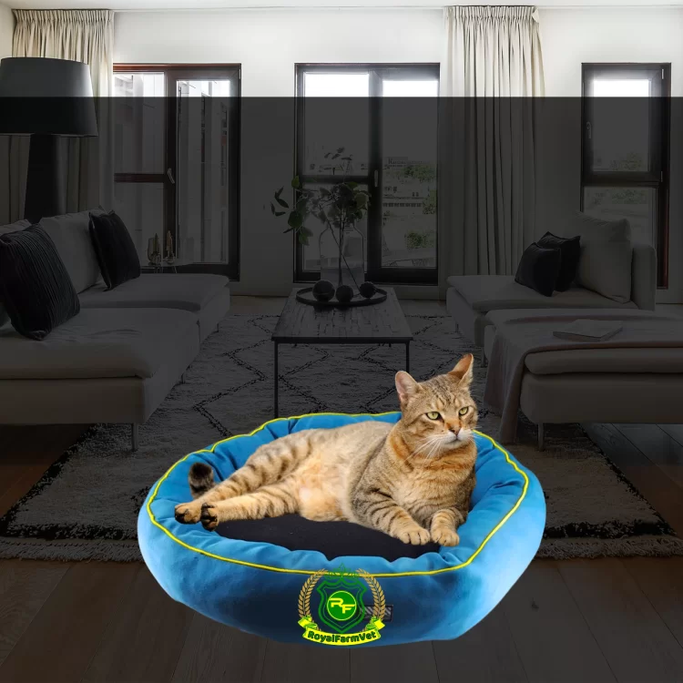 Simit Kedi ve Köpek Yatağı