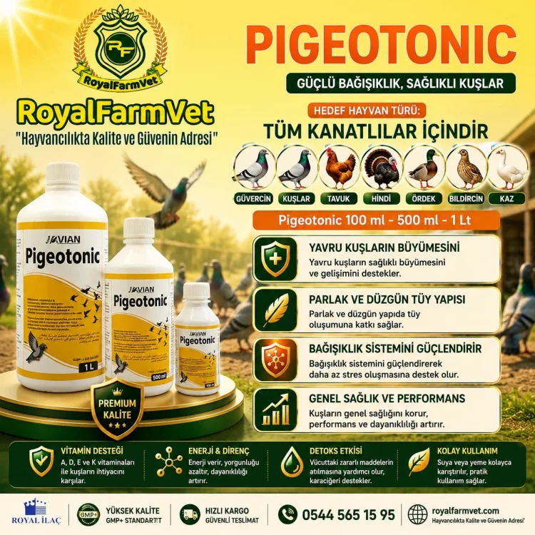 Pigeotonic 100 Ml. Kafes Kuşları ve Tüm Kanatlılar İçin Aminoasit, B Vitaminleri ve Elektrolit Desteği