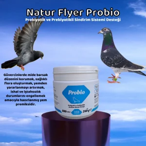 Natur Flyer Probio Probiyotik ve Prebiyotikli Sindirim Sistemi Desteği (800 Tablet)
