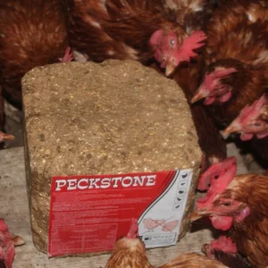 Royal İlaç Peckstone Avian Tavuk Gagalama Taşı 10 Kg