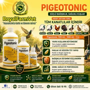 Pigeotonic 100 Ml. Kafes Kuşları ve Tüm Kanatlılar İçin Aminoasit, B Vitaminleri ve Elektrolit Desteği