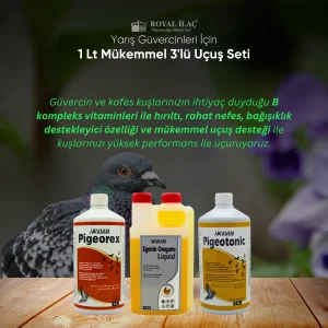 Royal İlaç Yarış Güvercinlerinde 1 Lt Rahat Nefes Yüksek Performans ve Mükemmel Uçuş Seti