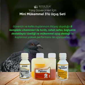 Royal İlaç Yarış Güvercinlerinde Mini Rahat Nefes Yüksek Performans ve Mükemmel Uçuş Seti
