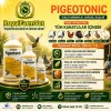 Pigeotonic 100 Ml. Kafes Kuşları ve Tüm Kanatlılar İçin Aminoasit, B Vitaminleri ve Elektrolit Desteği