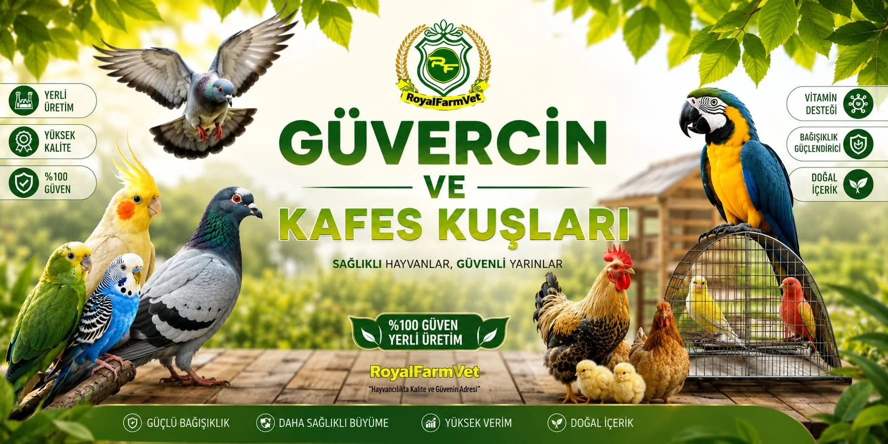 GÜVERCİN VE KAFES KUŞLARI SAĞLIĞI ÜRÜNLERİ