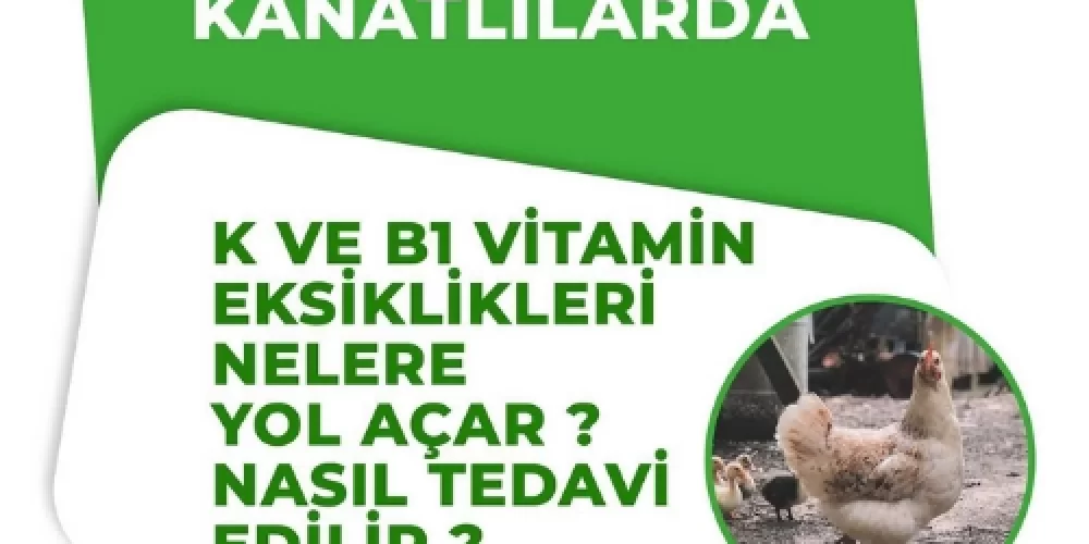 KANATLILARDA K VE B1 VİTAMİN EKSİKLİKLERİ NELERE YOL AÇAR ? NASIL TEDAVİ EDİLİR ?
