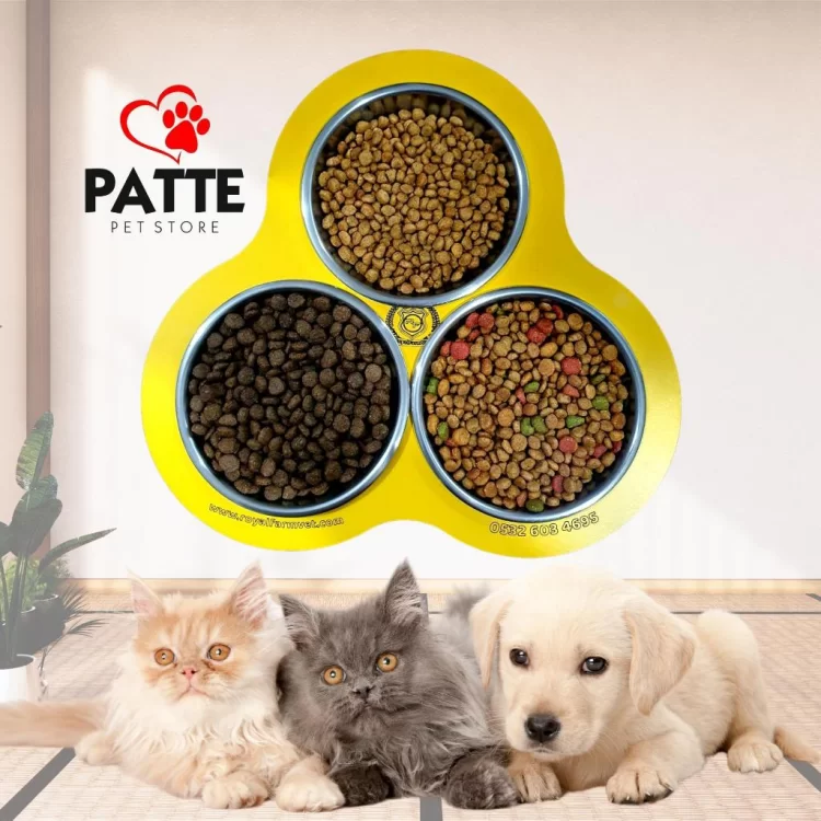 Kedi ve Köpekler İçin Üçlü Mama veya Su Kabı