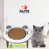 Kediler İçin Kedi Kafası Mama veya Su Kabı