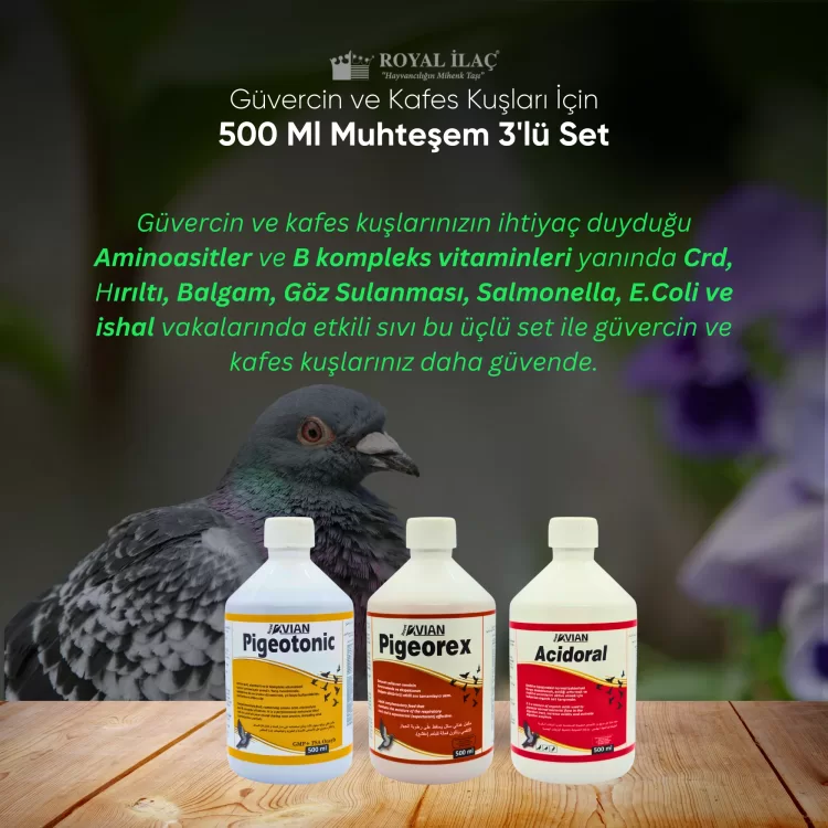 Royal İlaç Güvercin ve Kafes Kuşları İçin 500 Ml Muhteşem Üçlü Set (Pigeotonic+Pigeorex+Acidoral)