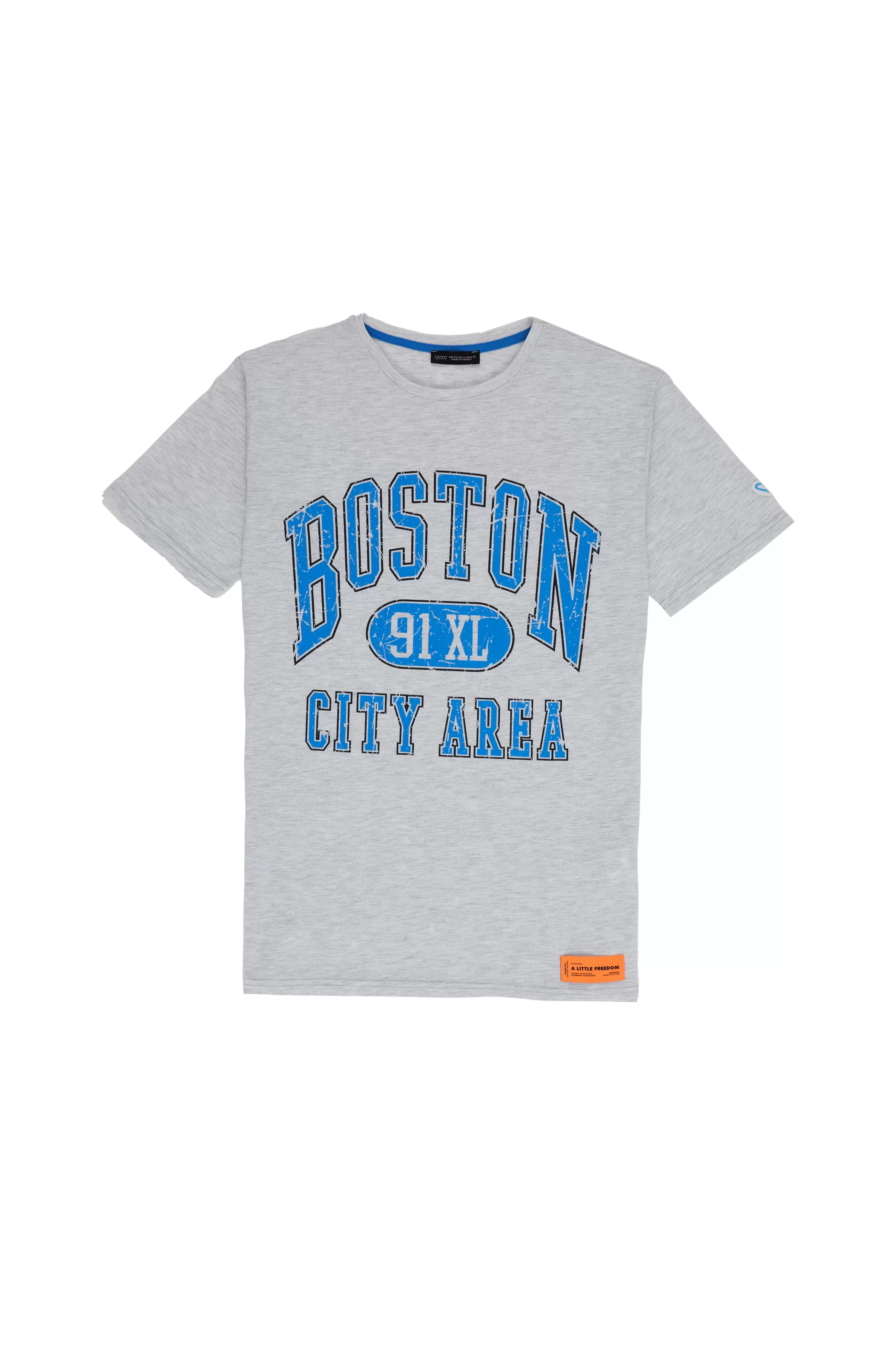 Baskı Detaylı T-shirt Gri