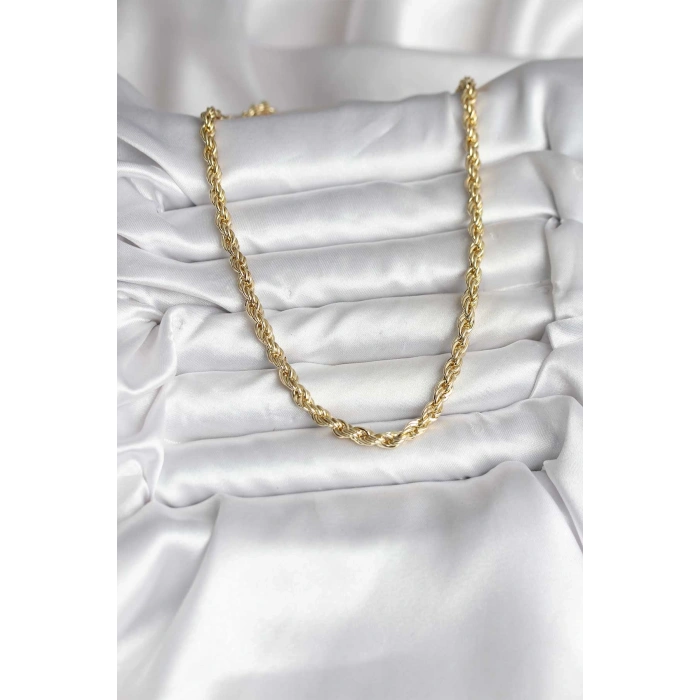 14K Gold Renk Kaplama Burgu Model CM Kadın Kolye