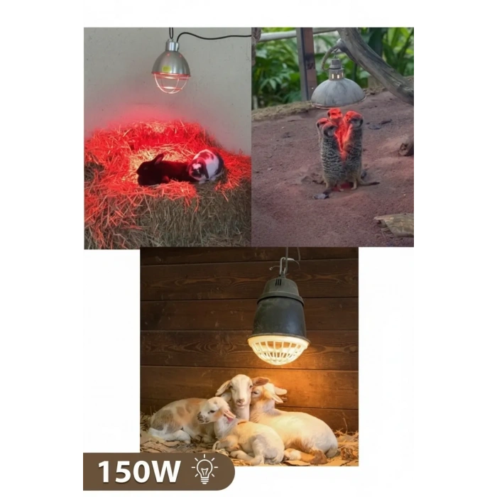 150W Kızılötesi (infrared) Isıtıcılı Hayvan Isıtma ve Kuluçka Lambası (Kırmızı Işık) E27 (Kalın Duy) (  )
