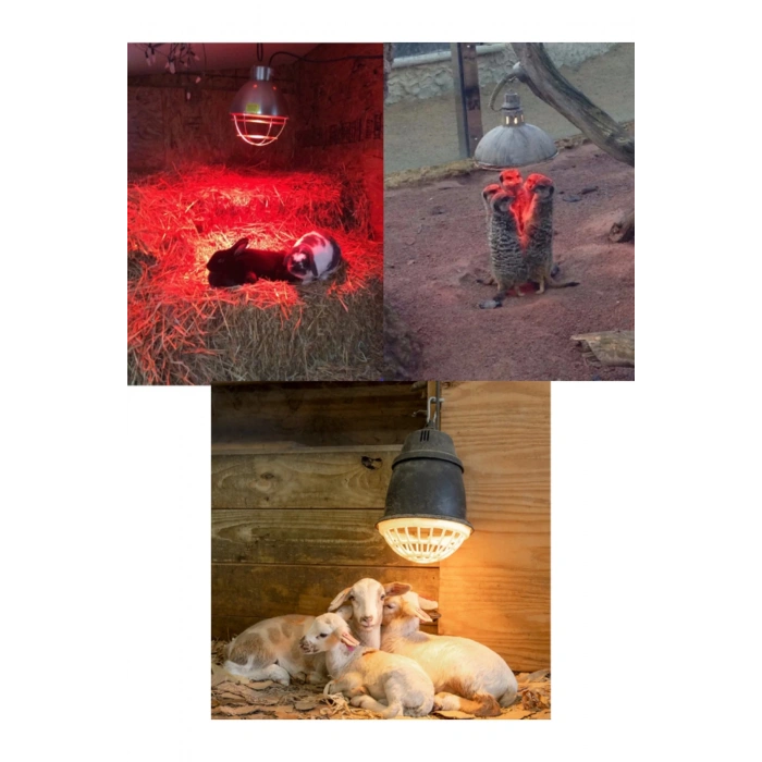 (6 Adet) 250W Kızılötesi Isıtıcılı Hayvan Isıtma ve Kuluçka Lambası (Kırmızı Işık) E27 (Kalın Duy) (  )