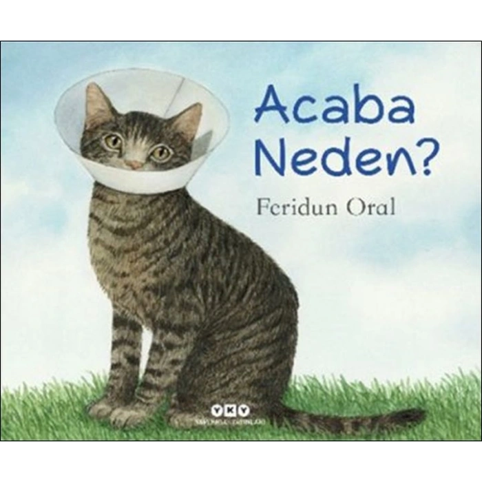 Acaba Neden?