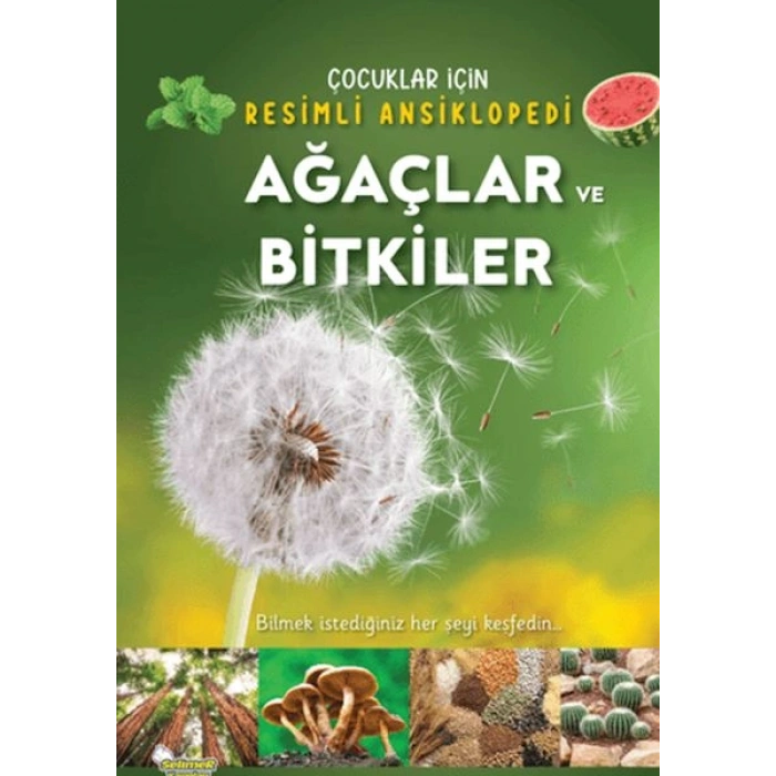 Ağaçlar ve Bitkiler
