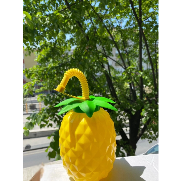 Ananas Pipetli Suluk (74)