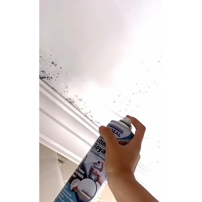 Anti Küf Yalıtım Boyası Sprey 500 ml