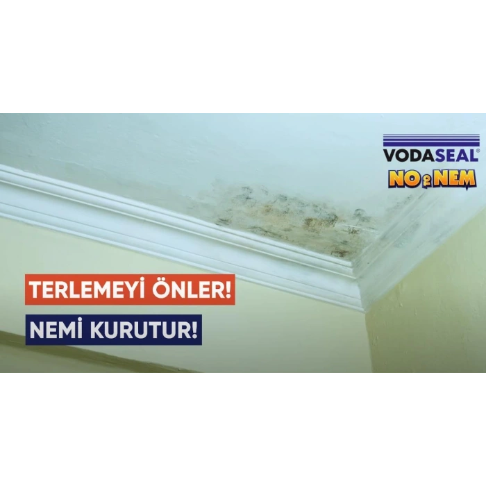 Anti Küf Yalıtım Boyası Sprey 500 ml