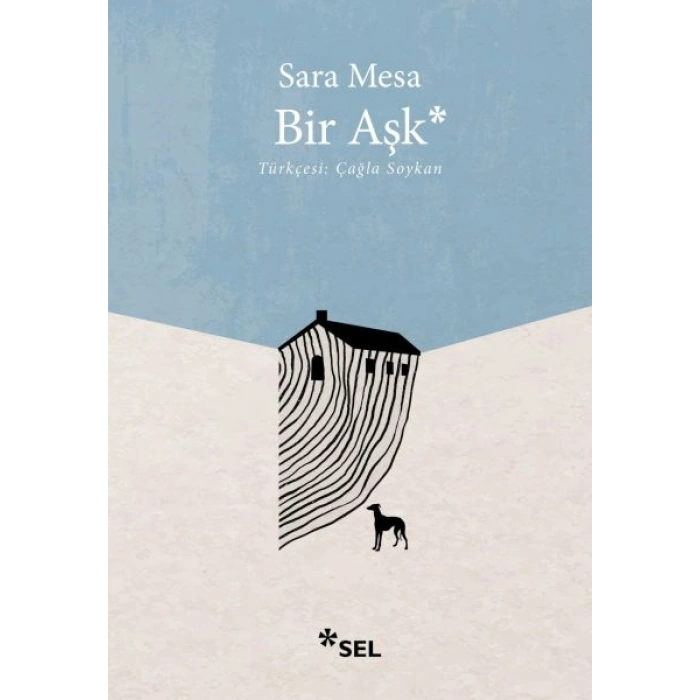 Bir Aşk