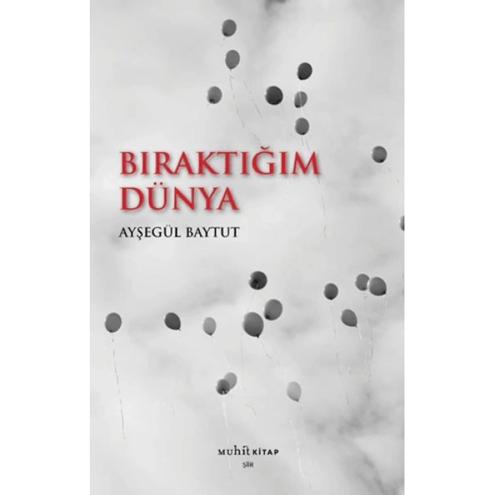 Bıraktığım Dünya