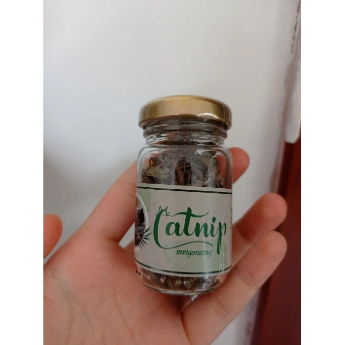 Catnip Doğal Kedi Otu - Kedi Nanesi 10GR (74)