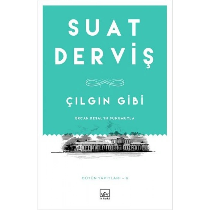 Çılgın Gibi
