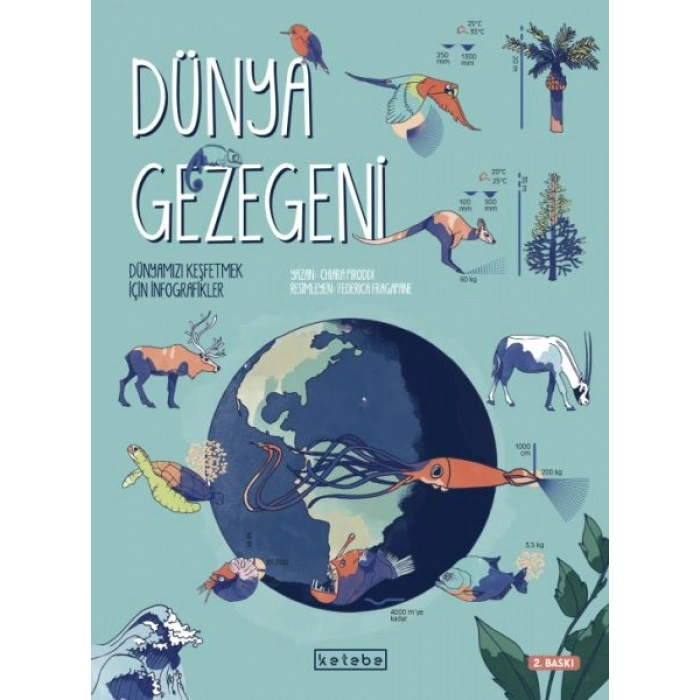 Dünya Gezegeni - Dünyamızı Keşfetmek İçin İnfografikler