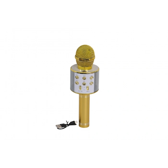 EMR-101 KUTULU KARAOKE MİKROFON