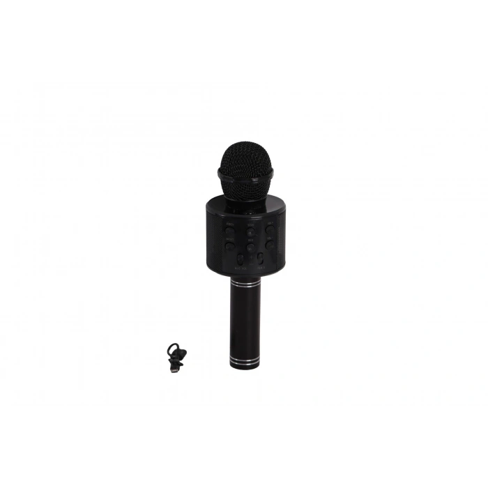 EMR-101 KUTULU KARAOKE MİKROFON
